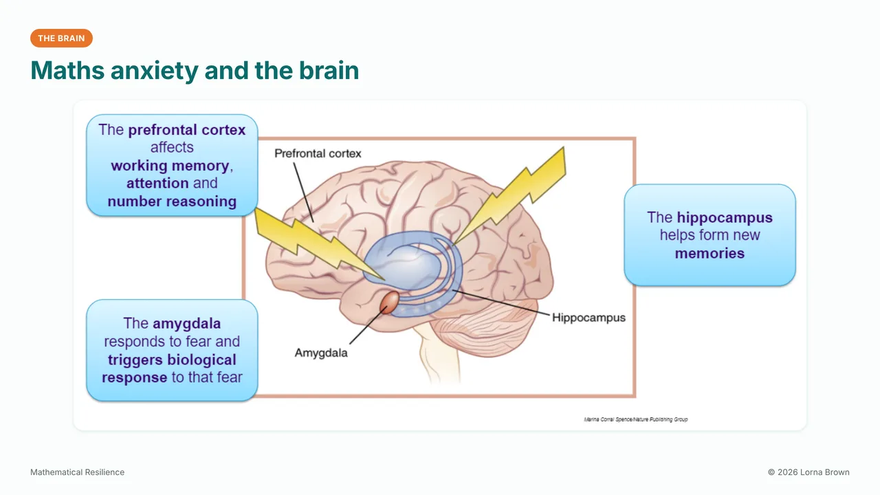 Slide 6 of 21