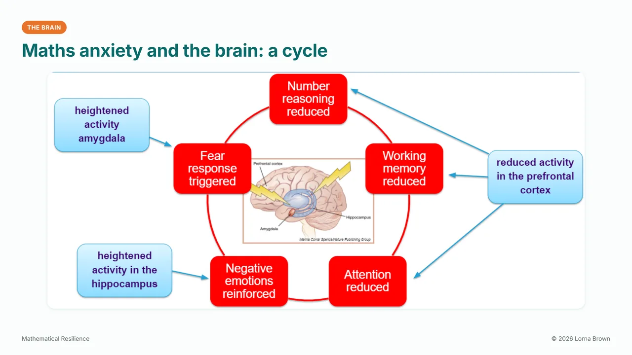 Slide 7 of 21